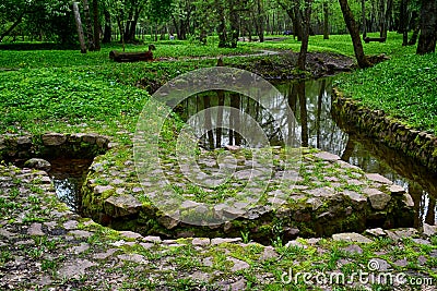 Park. Trees. Summer. River . Path Stock Photo