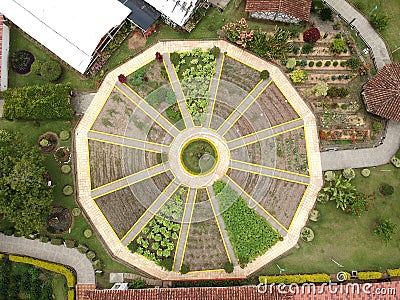 Park and wild alone in cuarentena Colombia Stock Photo