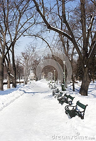 Park in winter Stock Photo