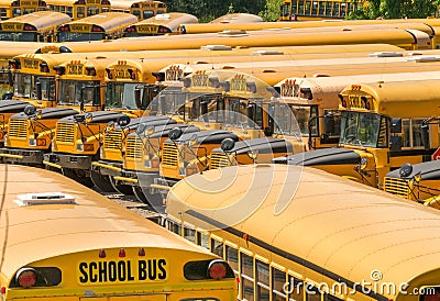 Parked School bus - Buses Stock Photo