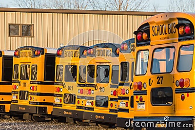 Parked Yellow School Buses Rear View Editorial Stock Photo