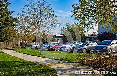 Parking lot cars parked under green trees in residential area, Parking zone. Row of cars parked at quiet suburban street Editorial Stock Photo