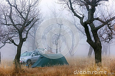 Parking lot in an oak forest in late autumn Stock Photo