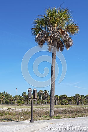 Parking meter next to a palm tree Stock Photo