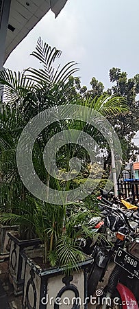 Parking Place in the Indonesia. Editorial Stock Photo