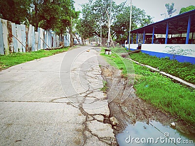 Parking and side lane lonly trees Editorial Stock Photo