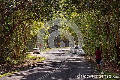 Parking on sites of the road near Rain Forrest near Port Douglas, in Queensland, Australia Editorial Stock Photo