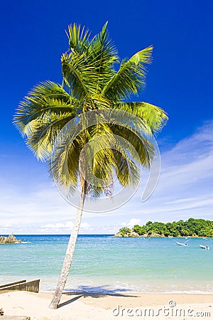 Parlatuvier Bay, Tobago Stock Photo