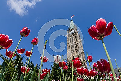 Parliament Building in Ottawa Canada Stock Photo