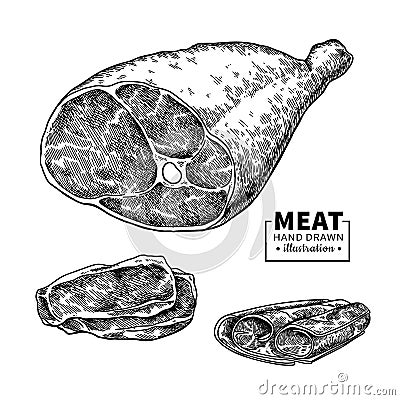 Parma ham vector drawing. Hand drawn hamon meat illustration. Italian prosciutto Vector Illustration