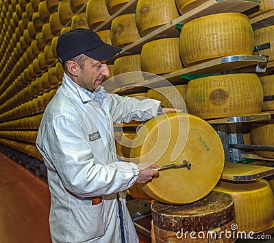 PARMA, ITALY - March, 10, 2014: Parmesan cheese quality test Editorial Stock Photo