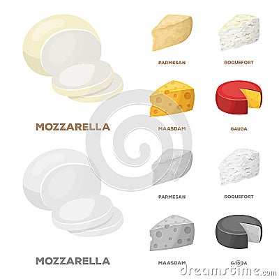 Parmesan, roquefort, maasdam, gauda.Different types of cheese set collection icons in cartoon,monochrome style vector Vector Illustration