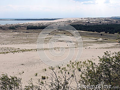 Parnidis dune, Lithuania Stock Photo