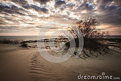 Parnidis sand dune in sunset. Curonian spit, Nida city, Lithuania Stock Photo