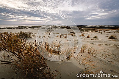 Parnidis sand dune in sunset. Curonian spit, Nida city, Lithuania Stock Photo