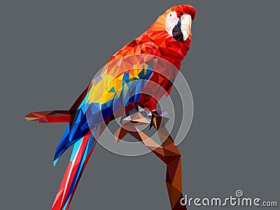 Parot low polygon on gray background Vector Illustration