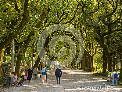 Parque Alameda - Santiago de Compostela Editorial Stock Photo