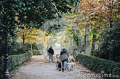 People walking dogs in Parque del Retiro Madrid Editorial Stock Photo