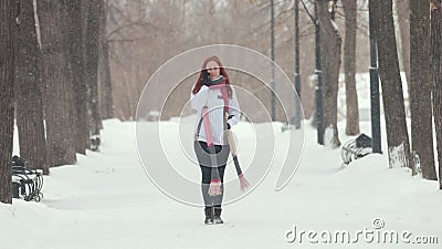 Parque do inverno Uma mulher com cabelo vermelho brilhante que fala no telefone Uma queda de neve pesada vídeos de arquivo Parque do inverno Uma mulher com cabelo vermelho brilhante que fala no telefone Uma queda de neve pesada vídeos de arquivo