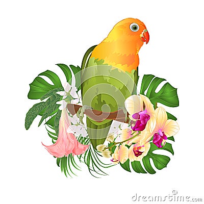 Parrot Agapornis lovebird tropical bird standing on a branch and Brugmansia with yellow orchid on a white background vector illus Vector Illustration