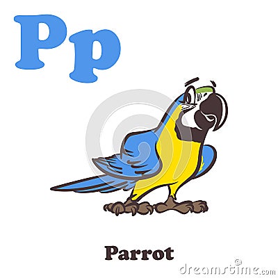 P for Parrot Vector Illustration
