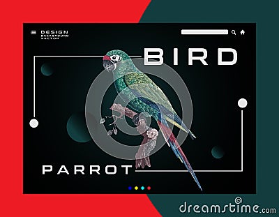 Parrot Ara Macaw vector popular modern realistic icon Vector Illustration