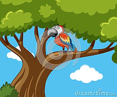 Parrot bird on the branch Vector Illustration