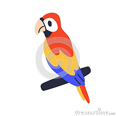 Parrot on branch. Jungle tropical ara, paradise bird. Exotic colorful macaw sitting on twig. Hawaiian parakeet with Vector Illustration