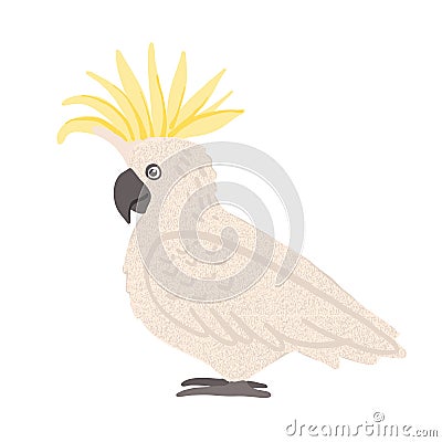 Parrot cockatoo. Australian bird cartoon illustration. Vector image Vector Illustration