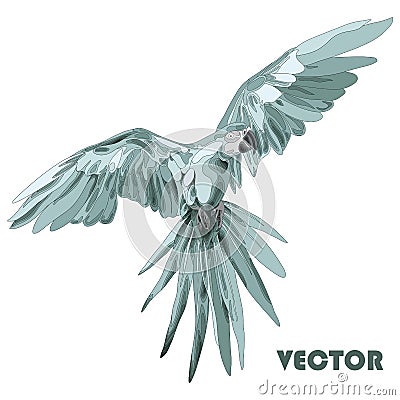 Parrot doodling Vector Illustration