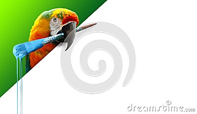 Parrot with a dripping paint brush in its beak Stock Photo