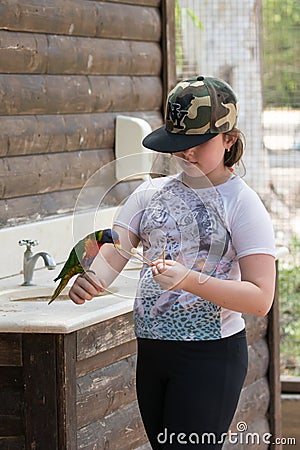 Parrot Lori - Loriinae - sits on the arm of the girl and eats an apple at the Gan Guru Zoo in Kibbutz Nir David in Israel Editorial Stock Photo