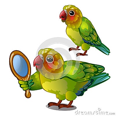 Parrot lovebird admiring her own reflection in the mirror. Tropical tamed bird is isolated on a white background Vector Illustration