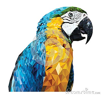 Parrot_Low poly design Stock Photo