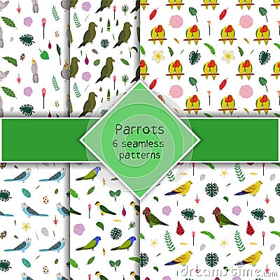 Parrot seamless pattern collection in cartoon style. Parrots cockatiel, kea, pionus and budgies, tropical leaves and Vector Illustration