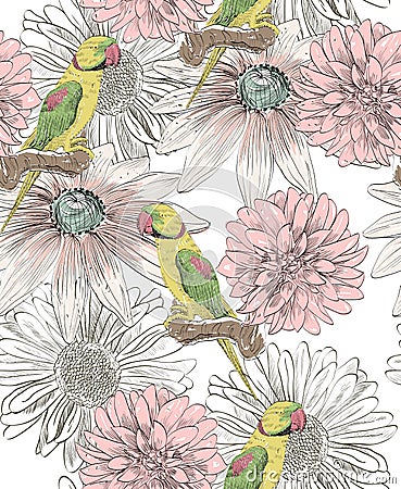 Parrot. Seamless pattern Vector Illustration