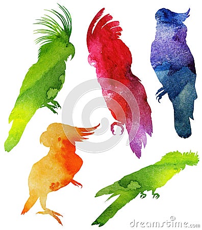 Parrot Silhouette. watercolor Vector Illustration