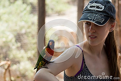 Parrot sits on the hand of a young woman at the Australian Zoo Gan Guru in Kibbutz Nir David, in Israel Editorial Stock Photo