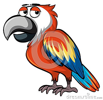 Parrot with sleepy eyes Vector Illustration