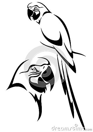 Parrot Vector Illustration