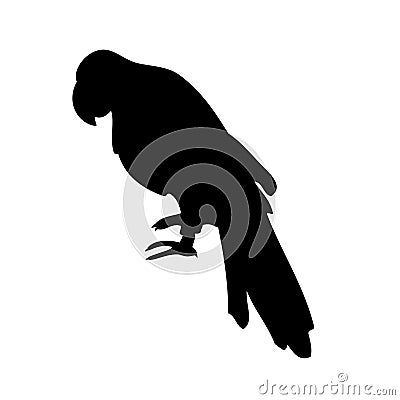 Parrot vector silhouette Vector Illustration