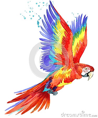 Parrot. Watercolor Parrot illustration. Tropical bird watercolor. Cartoon Illustration