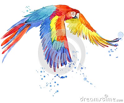 Parrot. Watercolor Parrot illustration. Tropical bird watercolor. Cartoon Illustration