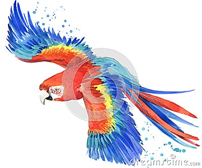 Parrot. Watercolor Parrot illustration. Tropical bird watercolor. Cartoon Illustration