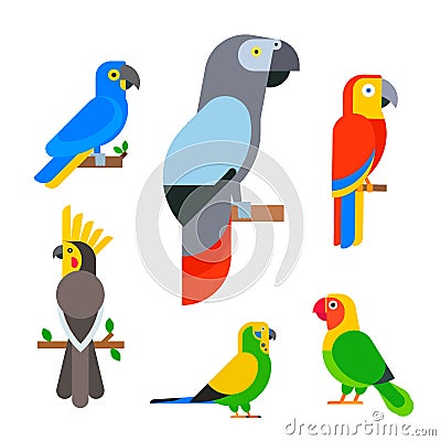 Parrots birds breed species animal nature tropical parakeets education colorful pet vector illustration Vector Illustration