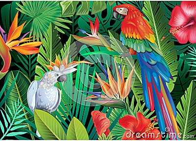 Parrots with tropical plants Vector Illustration