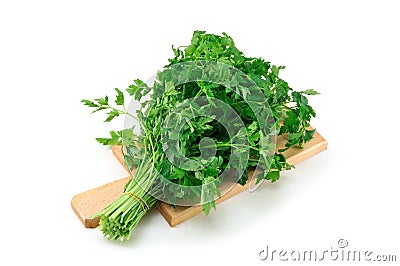 Parsley Stock Photo