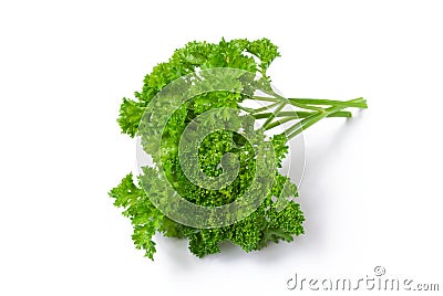 Parsley bunch Stock Photo