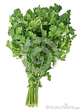 Parsley bunch Stock Photo