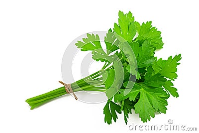 Parsley bunch Stock Photo